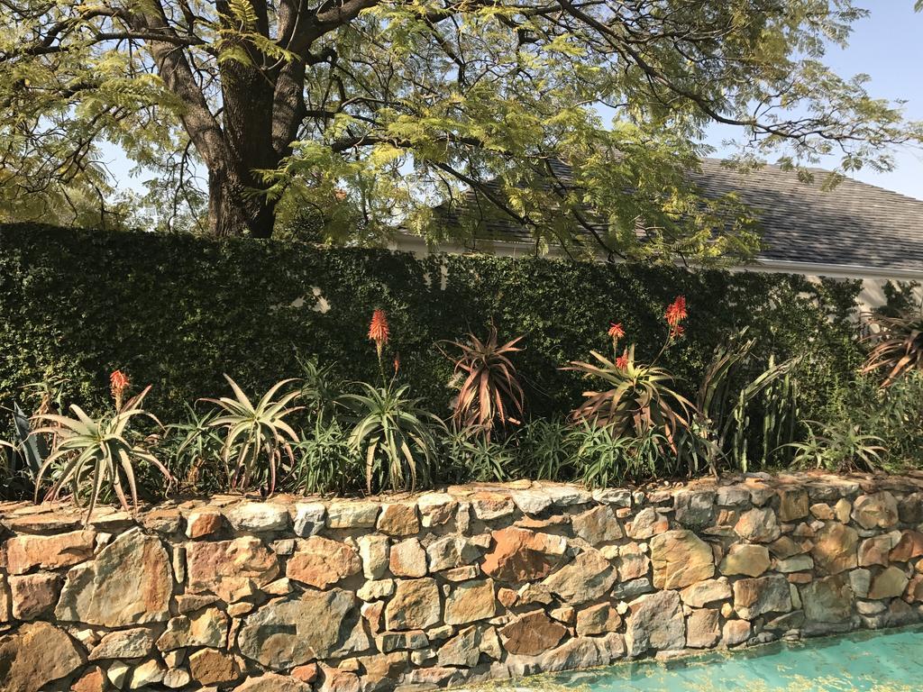The Parkwood Hotel Johannesburg Kültér fotó